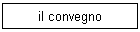 il convegno