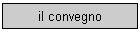 il convegno
